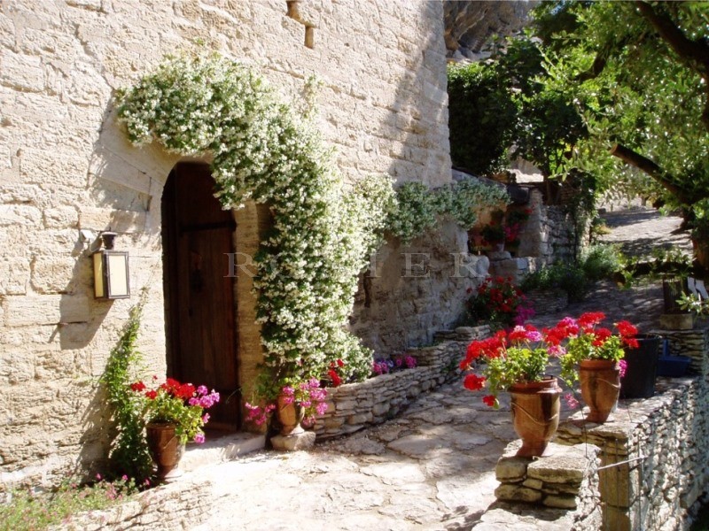 For sale, in Luberon, very original semi troglodyte house, with outbuildings, on 2 hectares with a lovely olive grove