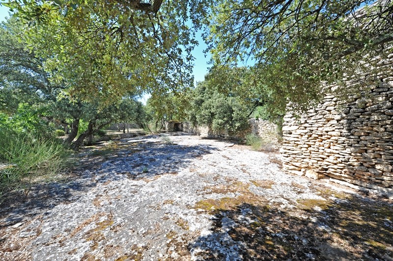 In Gordes, for sale, authentic provençal sheepfold on a beautiful land of 1.2 hectare with swimming pool