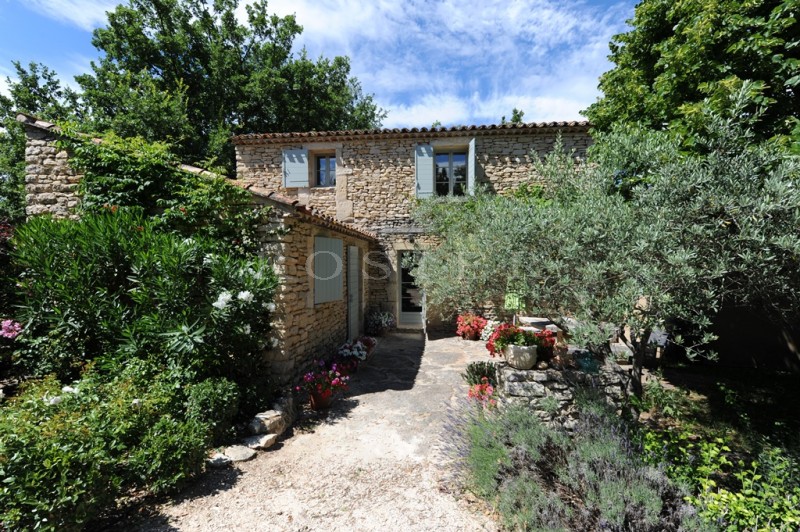 Up in the hill, set in vineyards, charming little farmhouse with pool on more than 3 000 m² of grounds