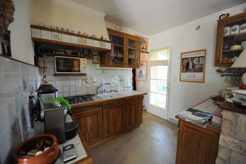 Up in the hill, set in vineyards, charming little farmhouse with pool on more than 3 000 m² of grounds