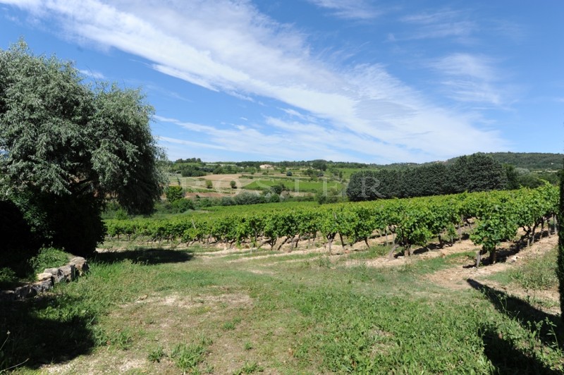 Up in the hill, set in vineyards, charming little farmhouse with pool on more than 3 000 m² of grounds