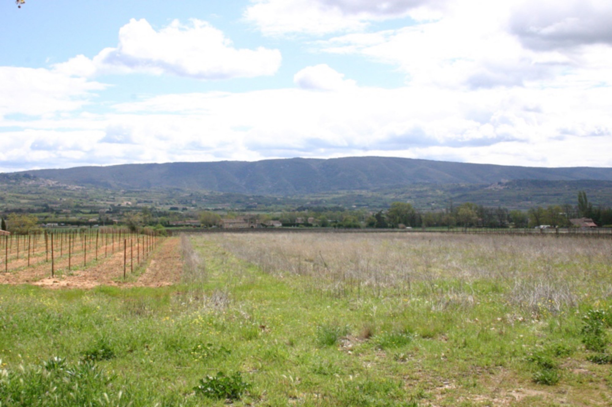 Ferme à rénover avec vue à vendre en Luberon