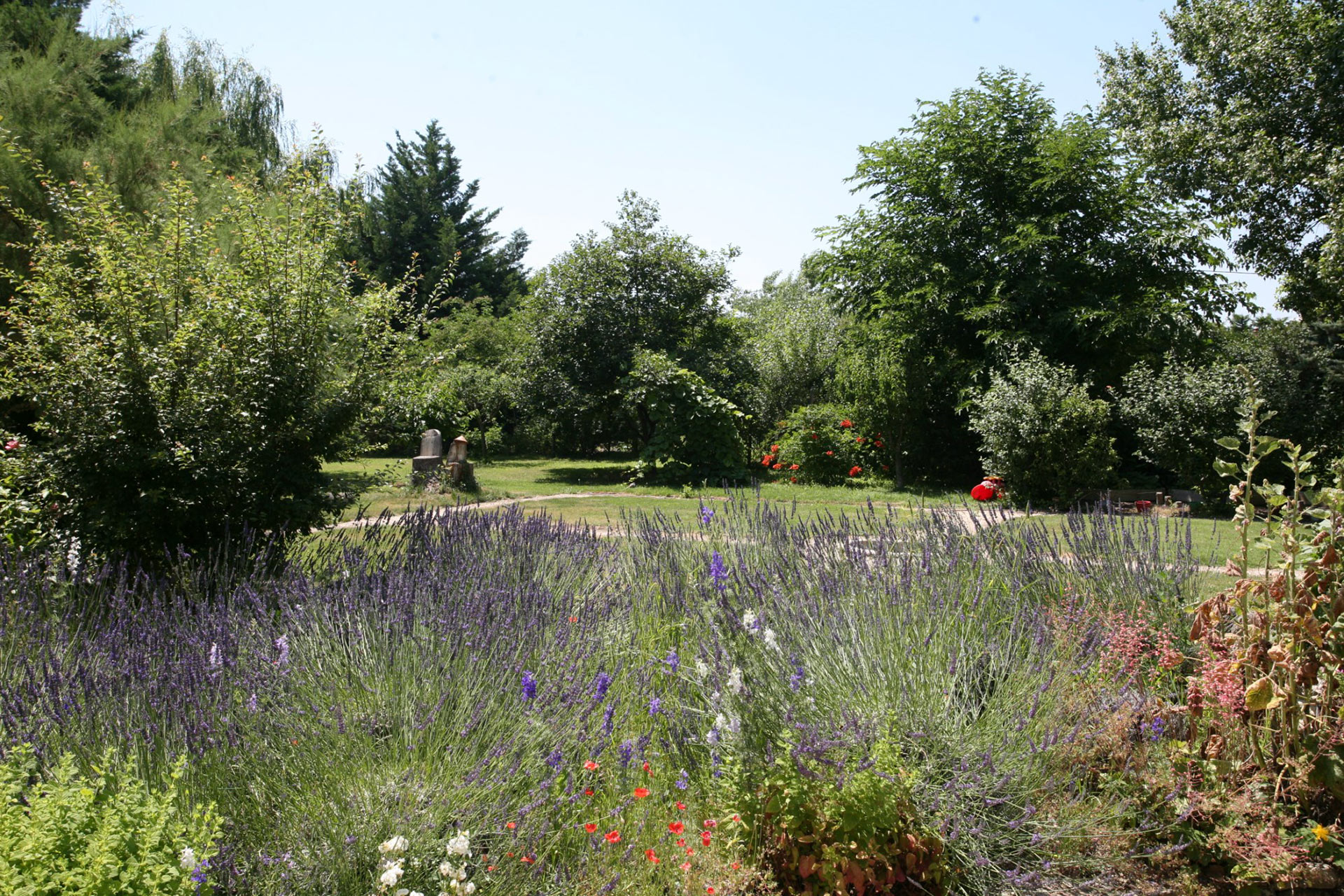 In Luberon, for sale, close to a selected village in Luberon, recent house with a garden and a swimming pool