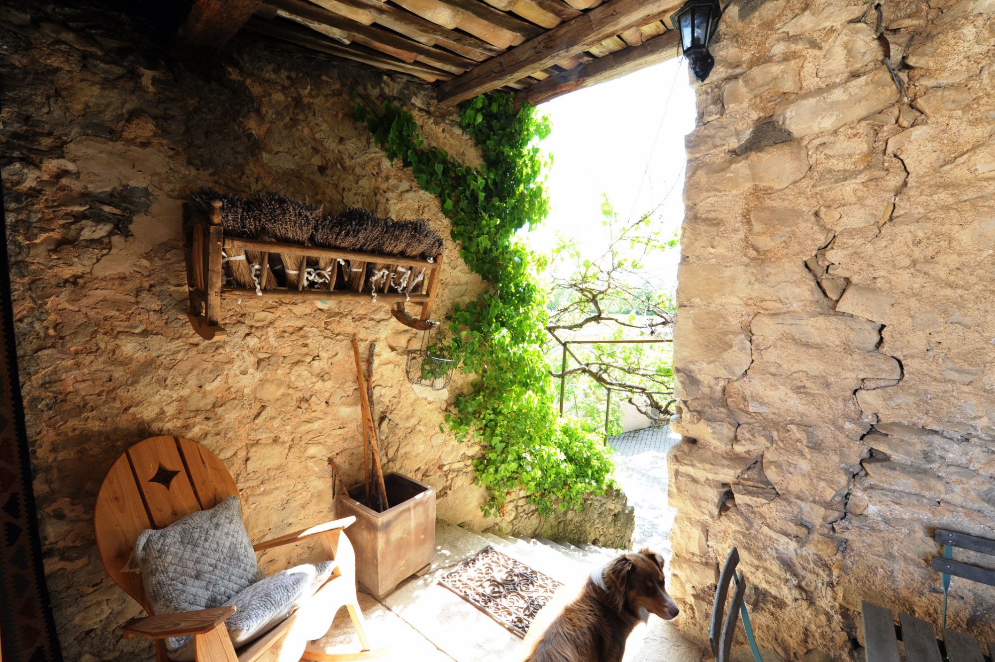 For sale in Luberon, authentic farmhouse with pool and outbuildings on 56 hectares