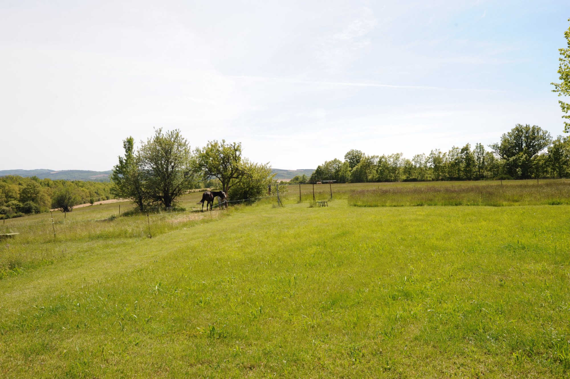 For sale in Luberon, authentic farmhouse with pool and outbuildings on 56 hectares