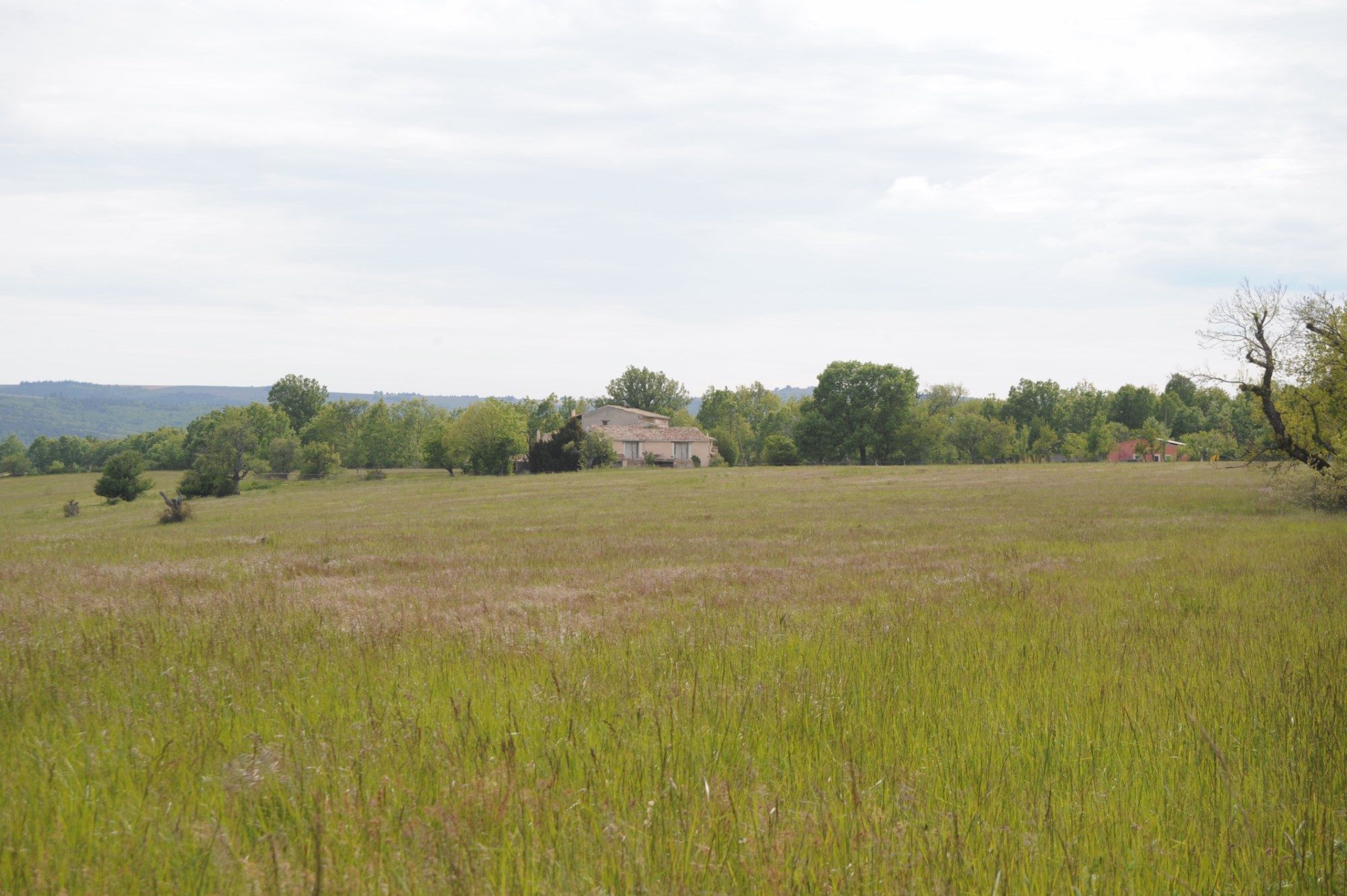 For sale in Luberon, authentic farmhouse with pool and outbuildings on 56 hectares