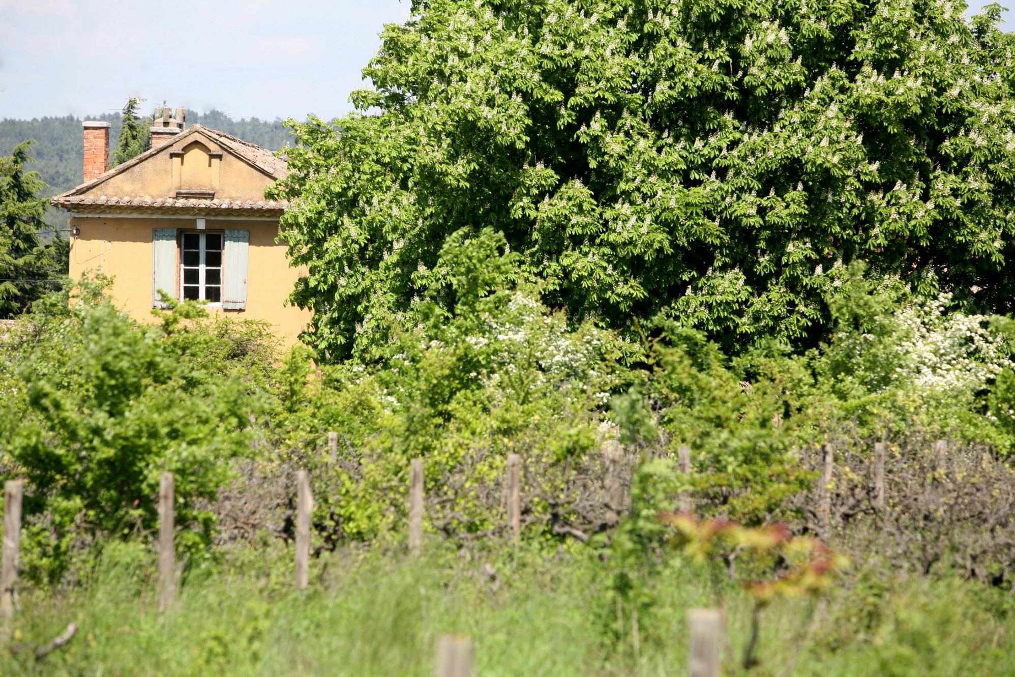 Close to one of the Luberon's famous villages, this beautiful farmhouse, requiring renovation, sits on 3 hectares (7.4 acres) of grounds.