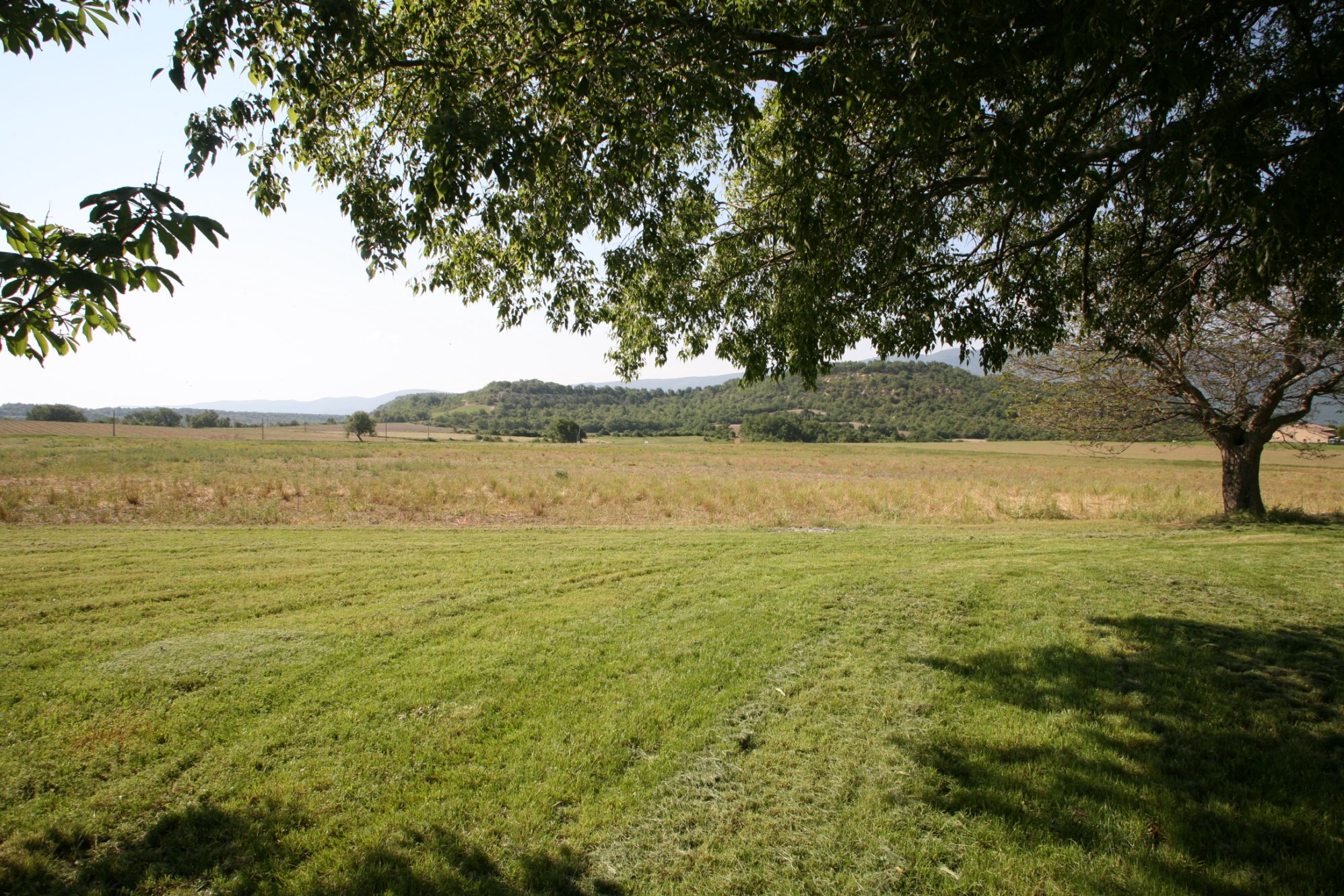 For sale, in Luberon, charming manor house needing some renovation on more than 4 hectares of land