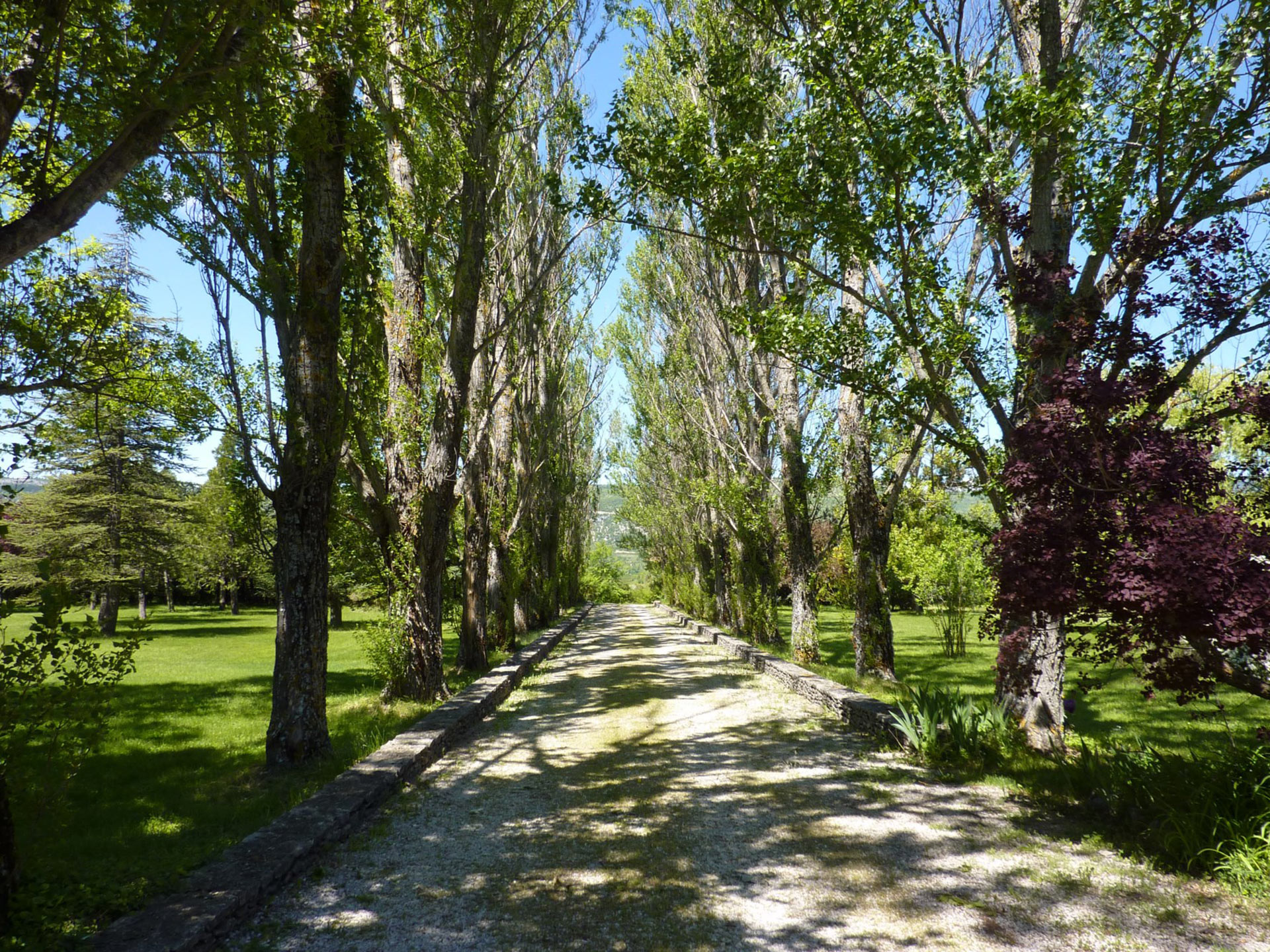 In Pays de Sault, for sale, family property surrounded by a outstanding park with swimming pool, heated veranda and terraces