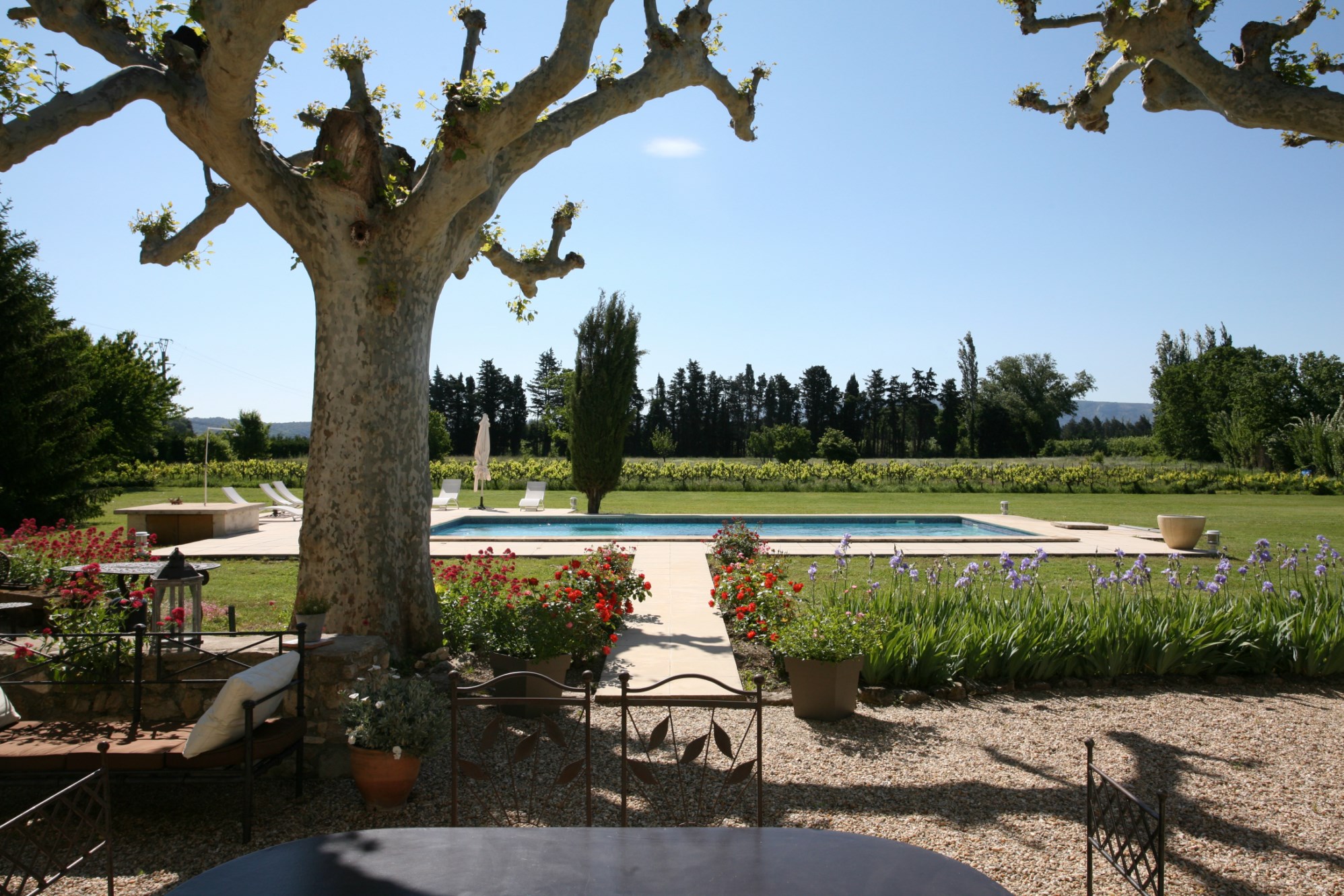 Isle sur la Sorgue, for sale, old farmhouse renovated with park and swimming pool