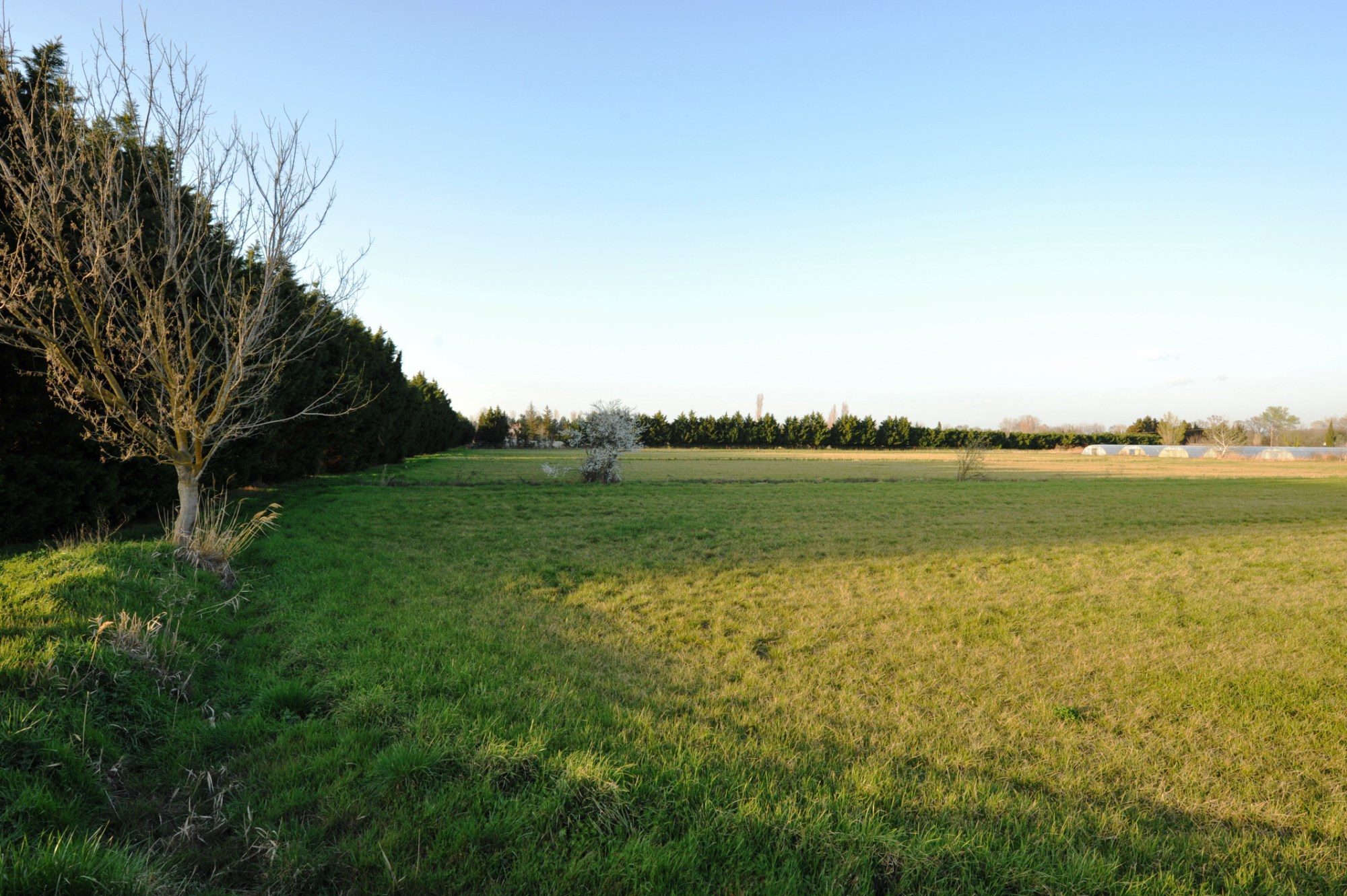 Un grand champ de le la propriété équestre des Alpilles