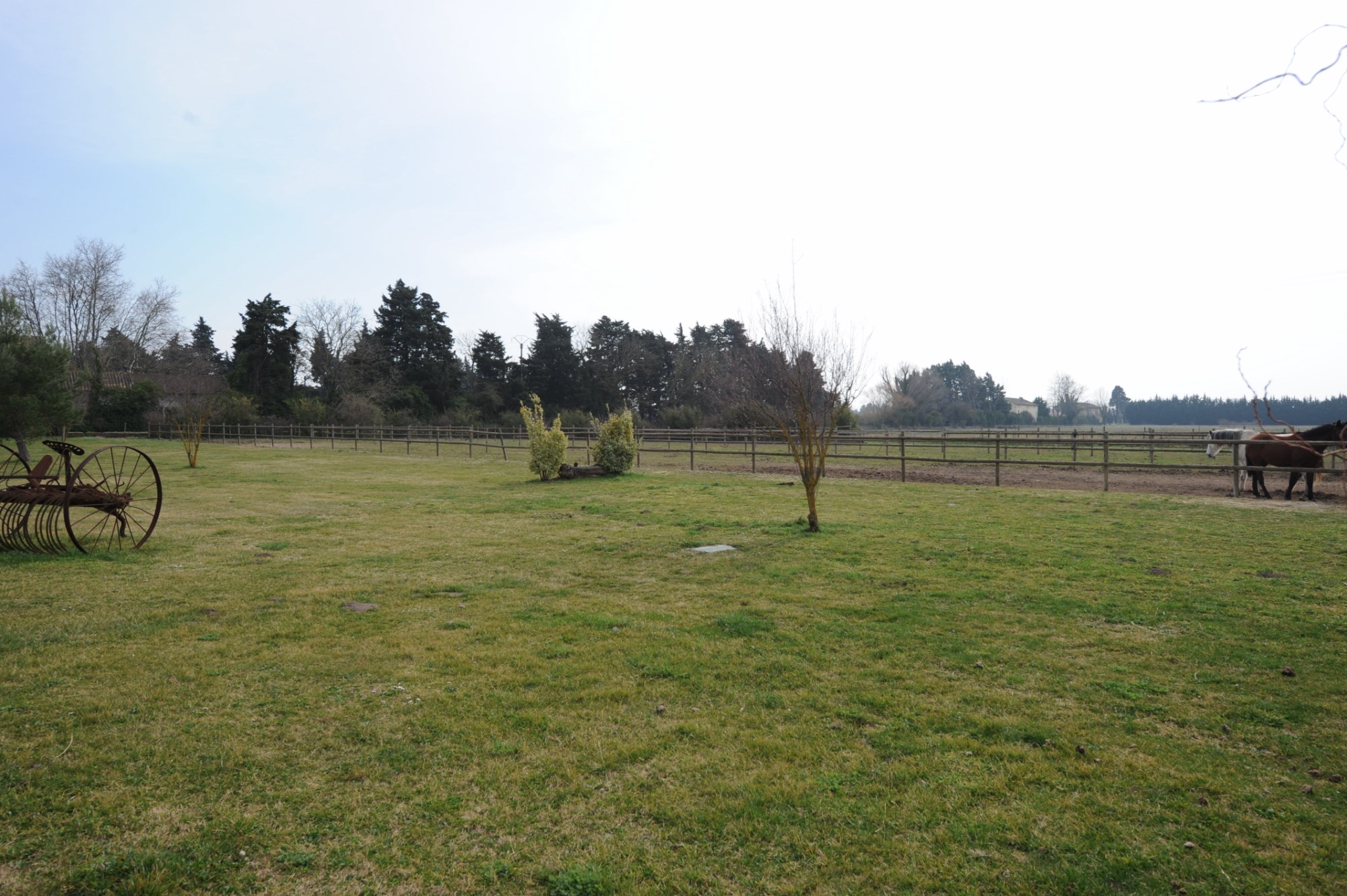 For sale, near Avignon, provençal farmhouse of XIXth century, in stones, on 4 hectares park with swimming pool
