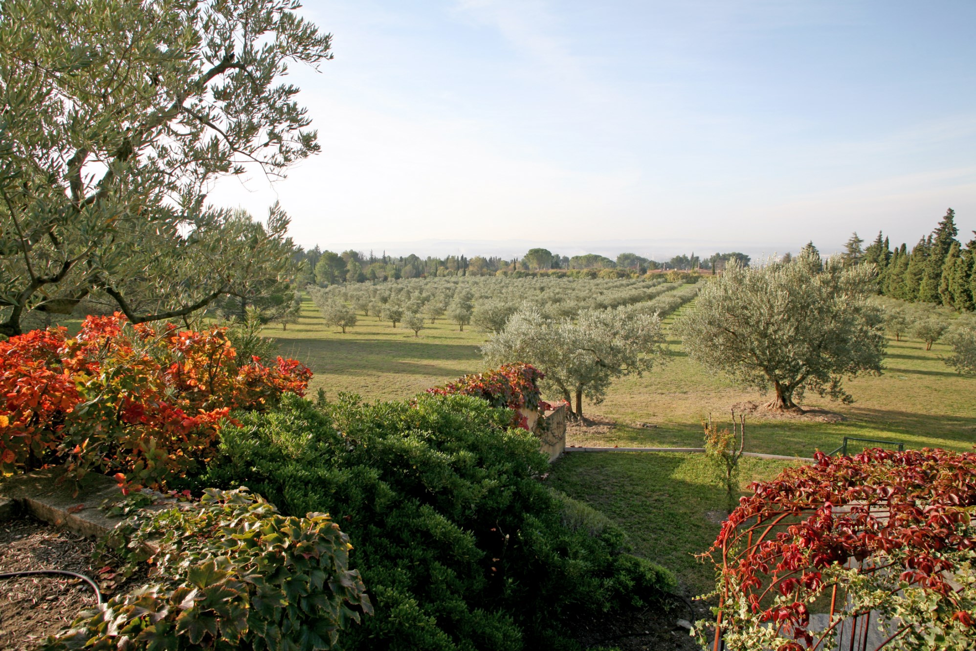 Belle propriété sur plus de 7 hectares avec vue en Provence