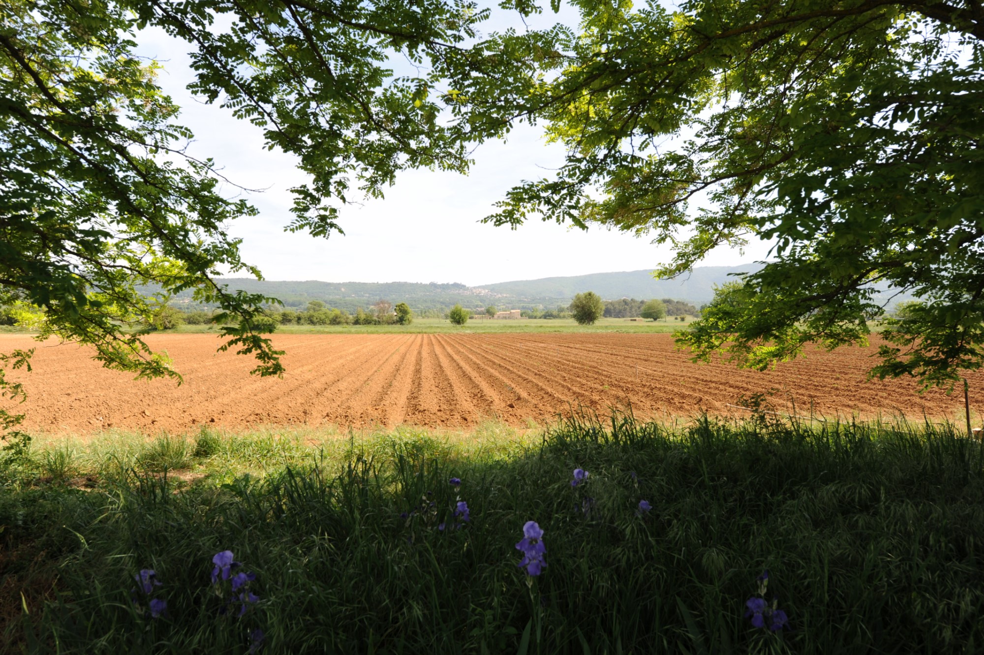 For sale in the Park of Luberon, provençal farmhouse to renovate, with garden and swimming pool
