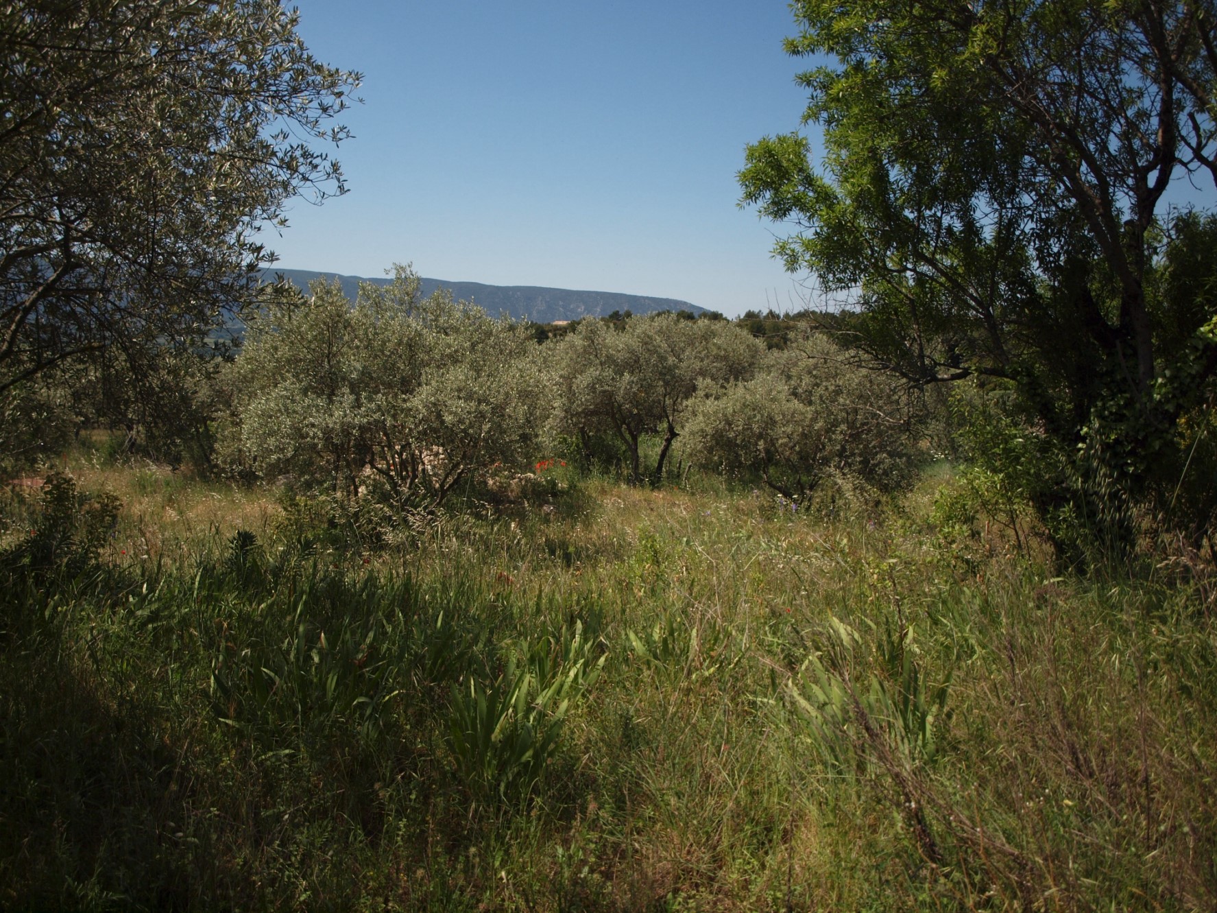 Beau terrain avec vue en Provence