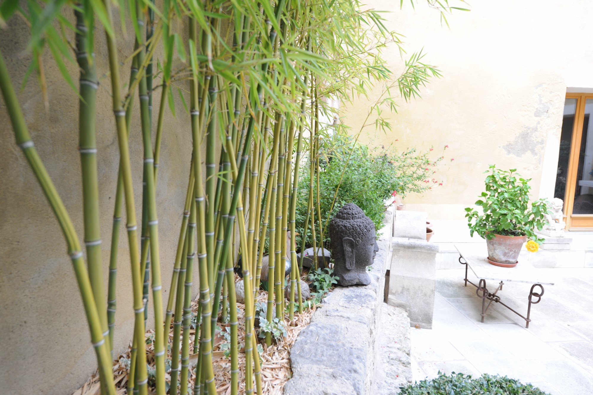 For sale, in Isle sur la Sorgue, lovely property consisting in a house, 2 appartments and a shop with a patio