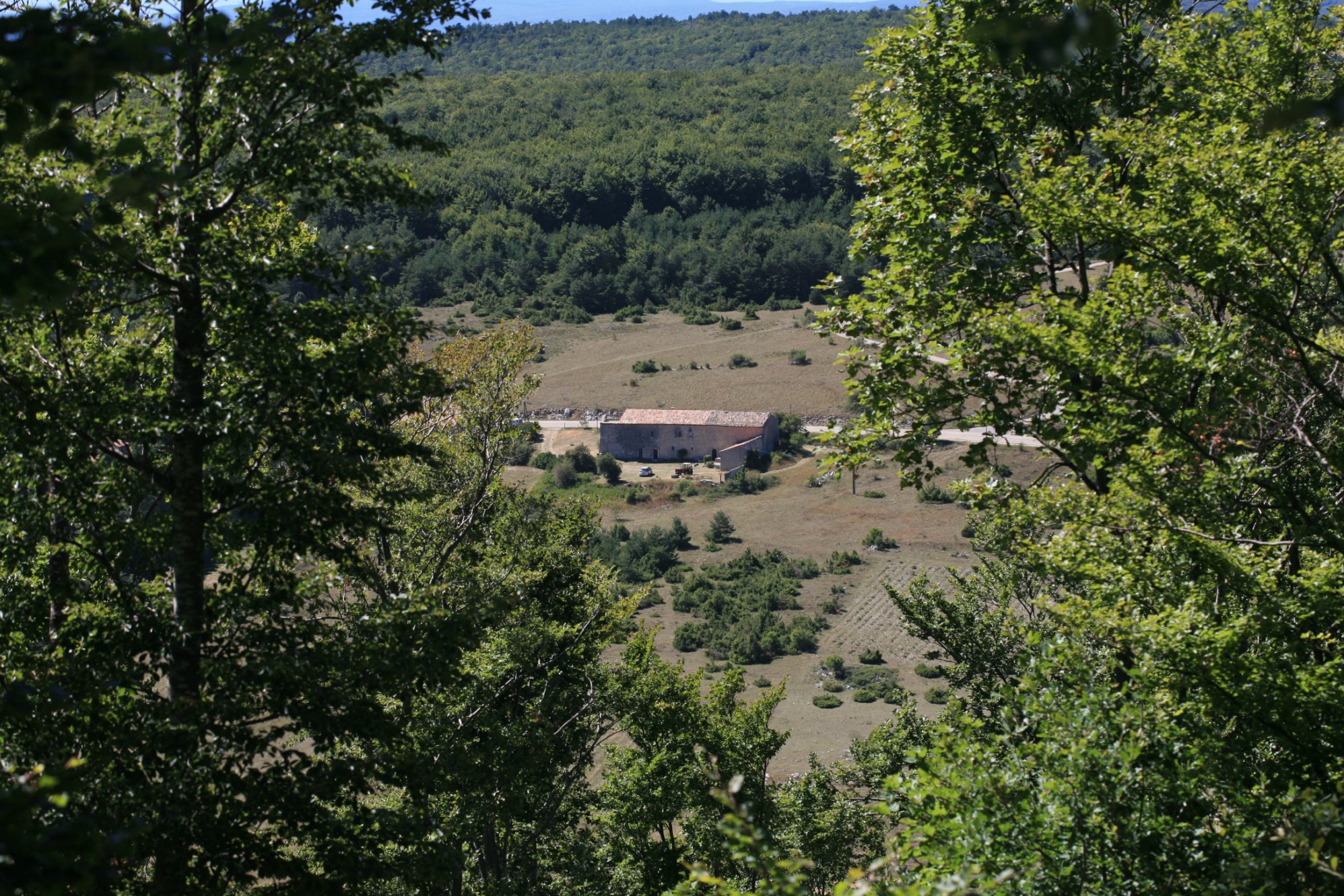 For sale, former XVth century fortified farm in the Luberon on 60 hectares of land