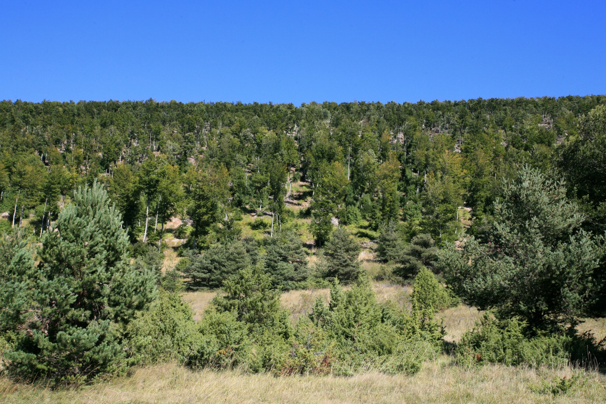 For sale, former XVth century fortified farm in the Luberon on 60 hectares of land