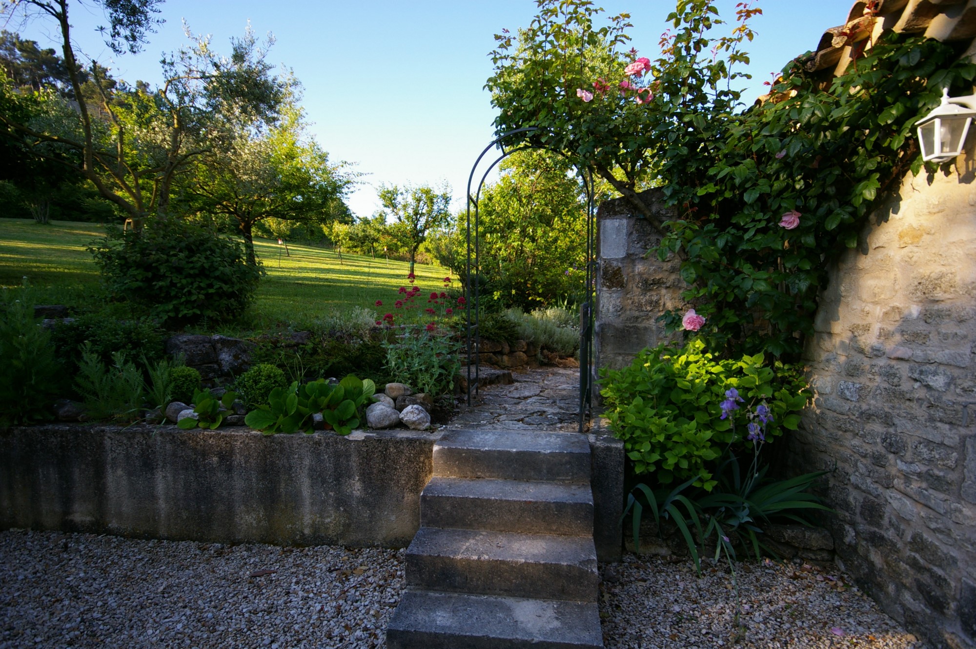 Property in Menerbes with view and pool on more than 9 000 sqm for sale 