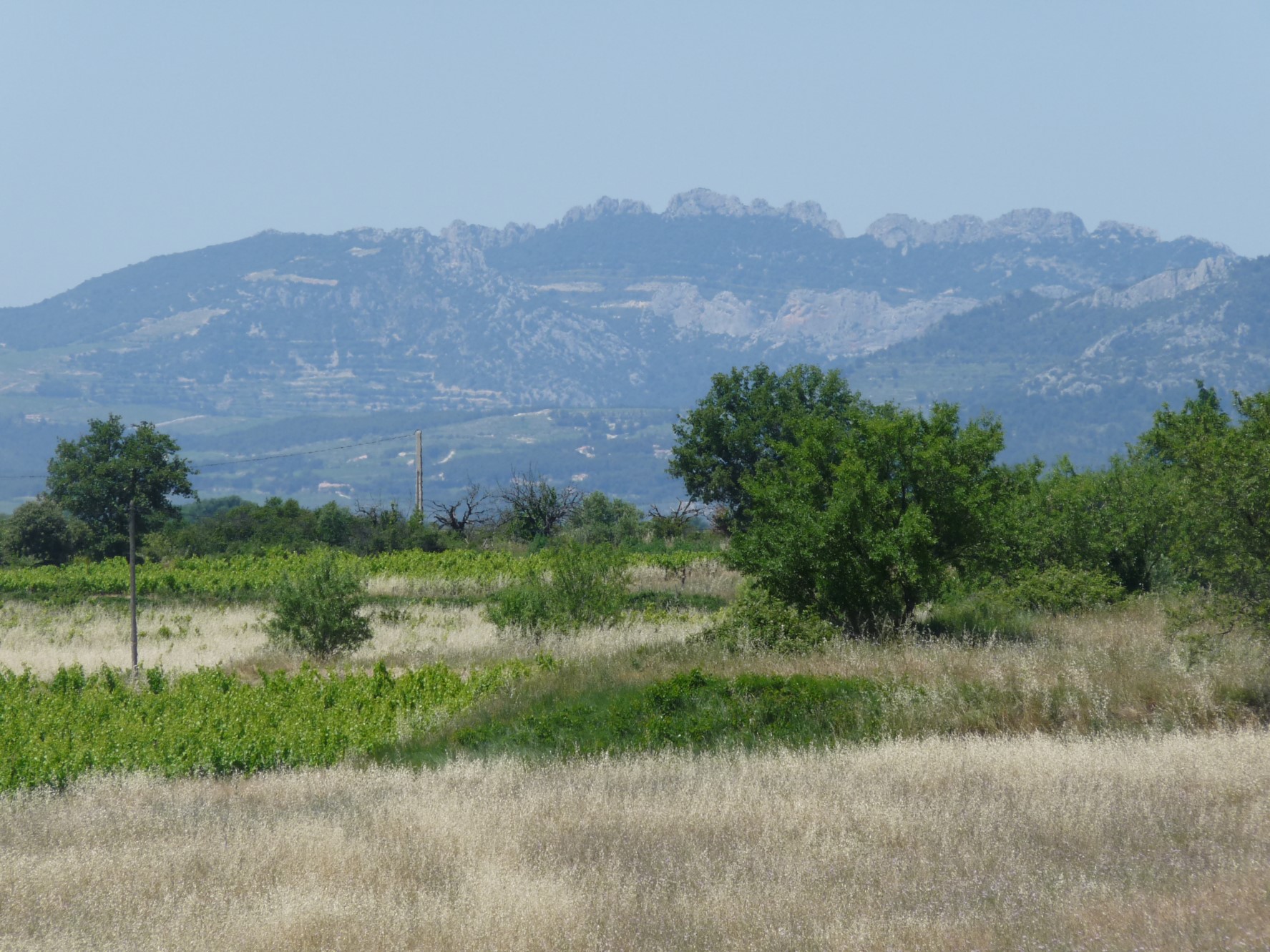 Domaine équestre avec vue à vendre en Provence
