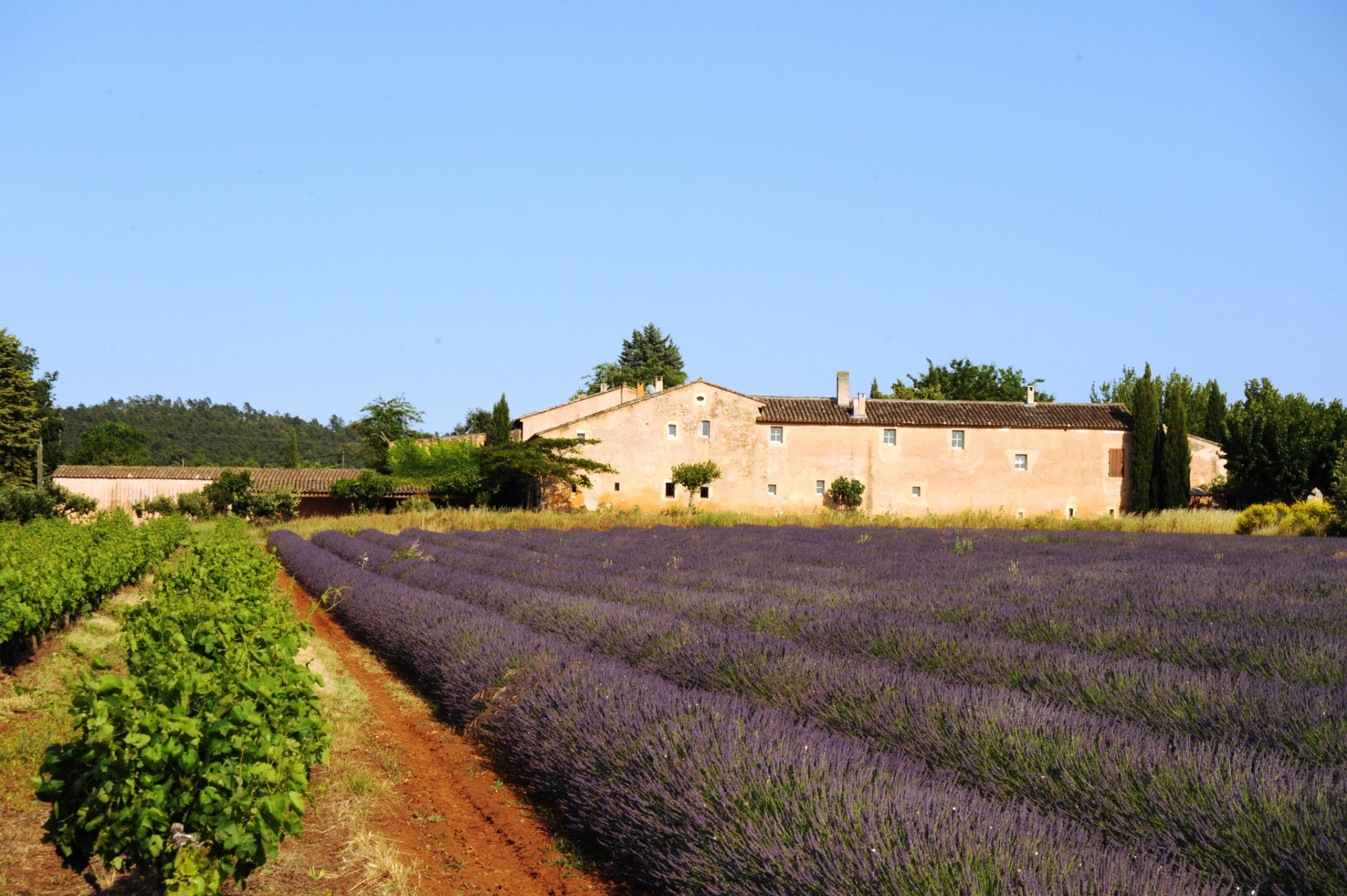 Mas rénové à vendre dans le Luberon