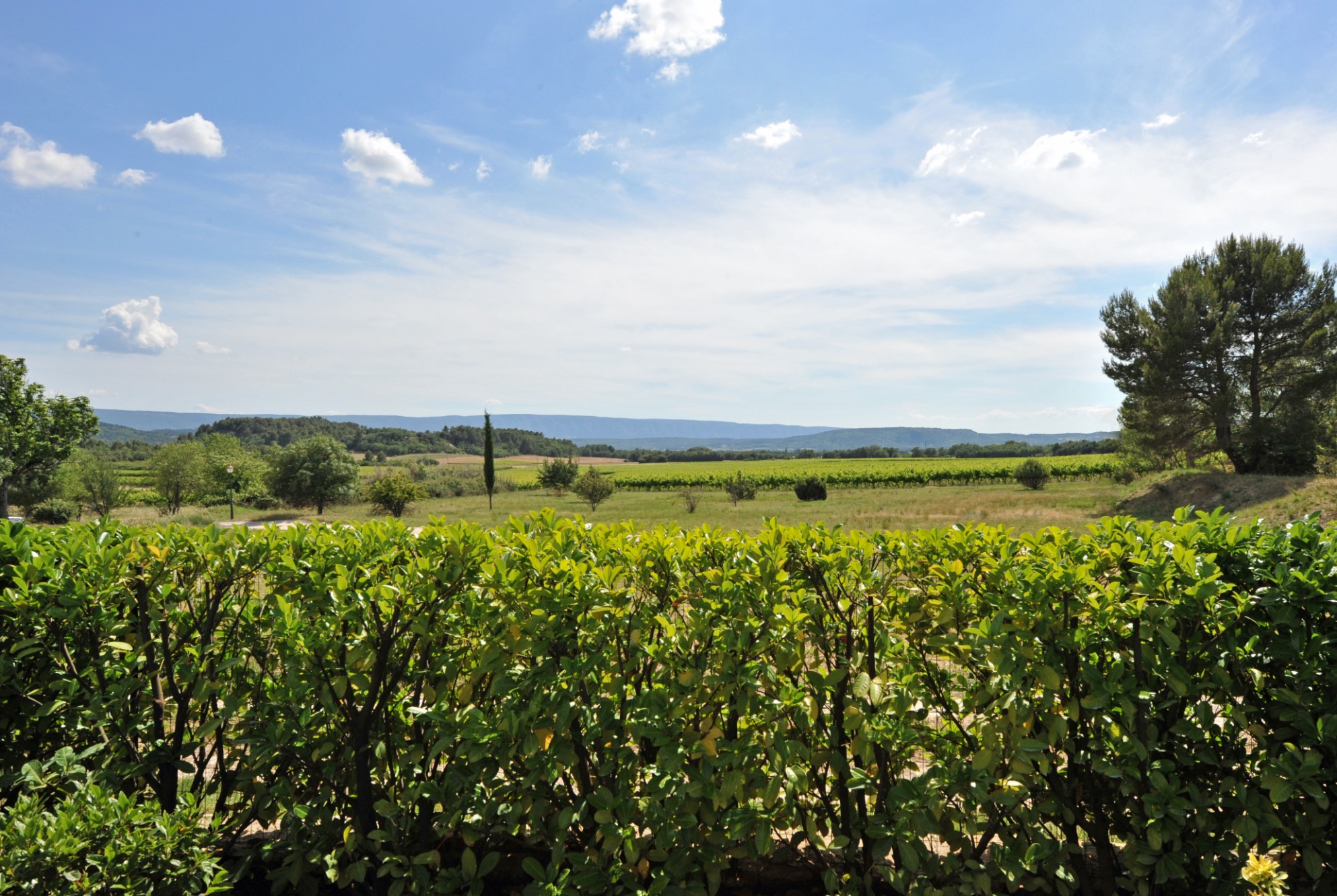 For sale, Luberon, in a pitturesque hamlet, beautiful mansion house with swimming pool and park