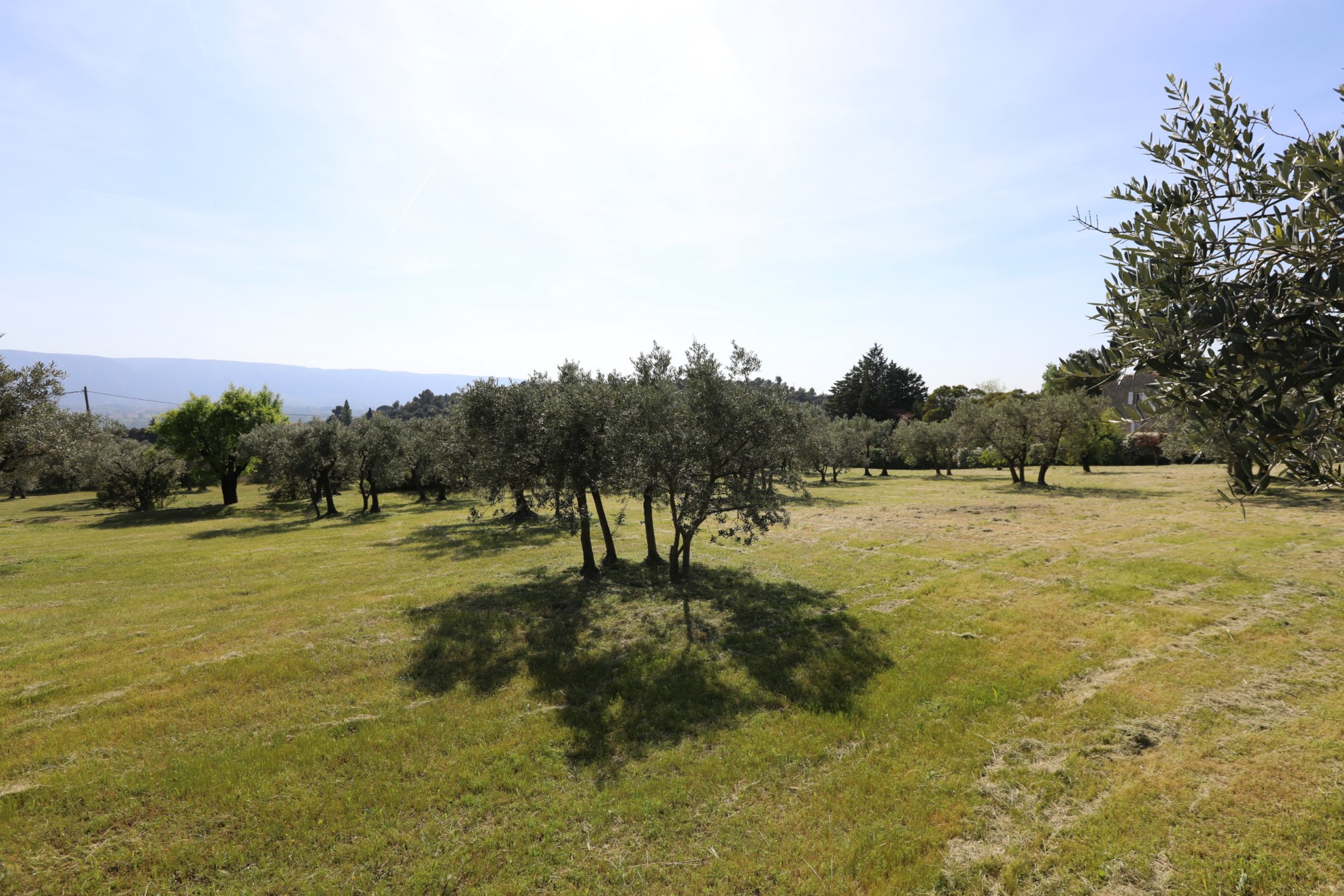 Exceptional location for sale in Gordes with views of the Luberon  