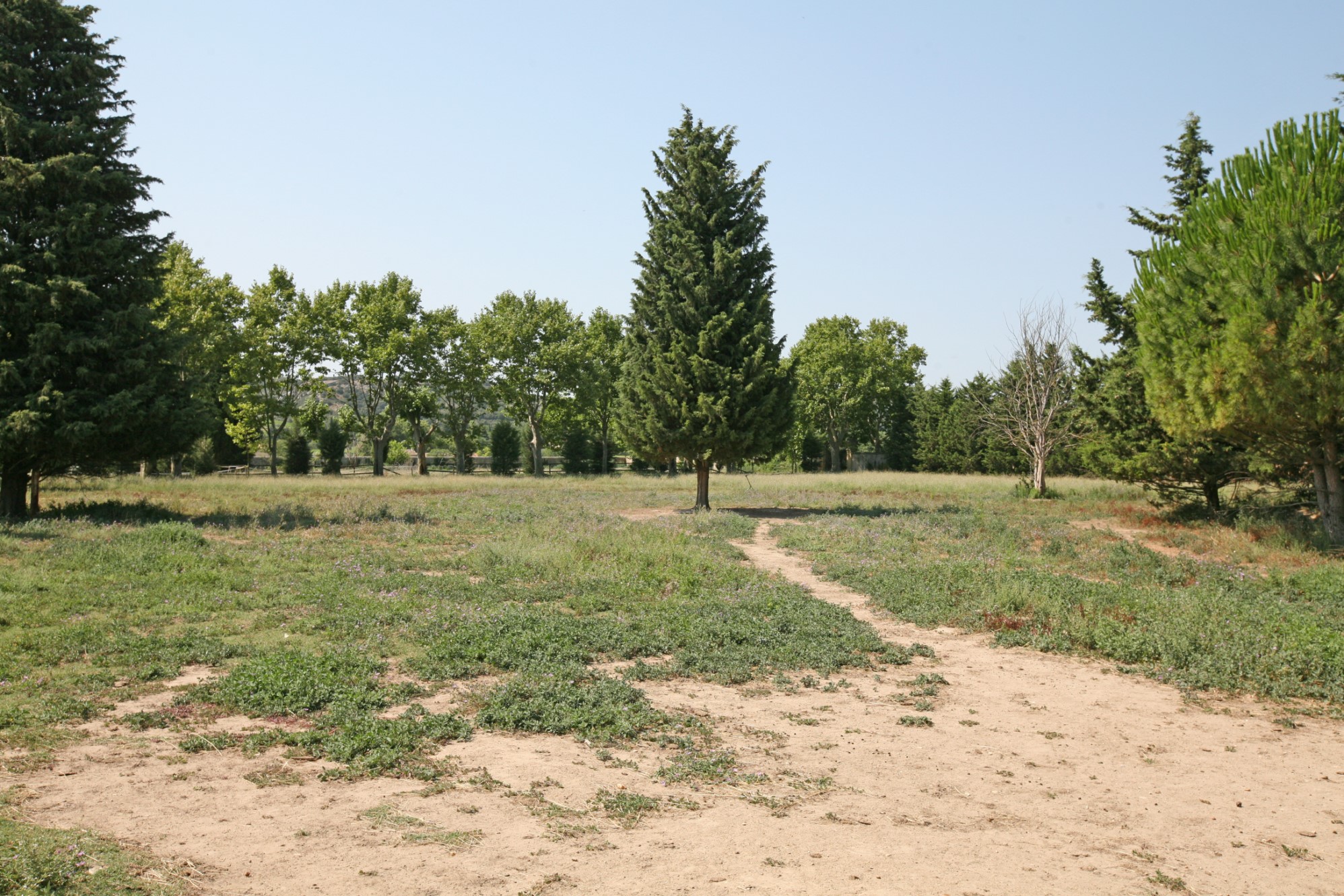For sale, castle with outbuildings located between Uzès and Avignon
