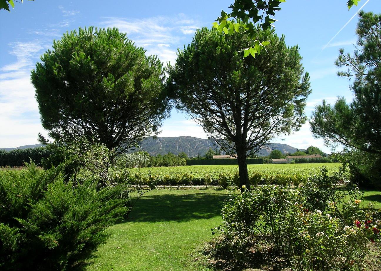 Large renovated farmhouse with 2 swimming pools facing the Luberon