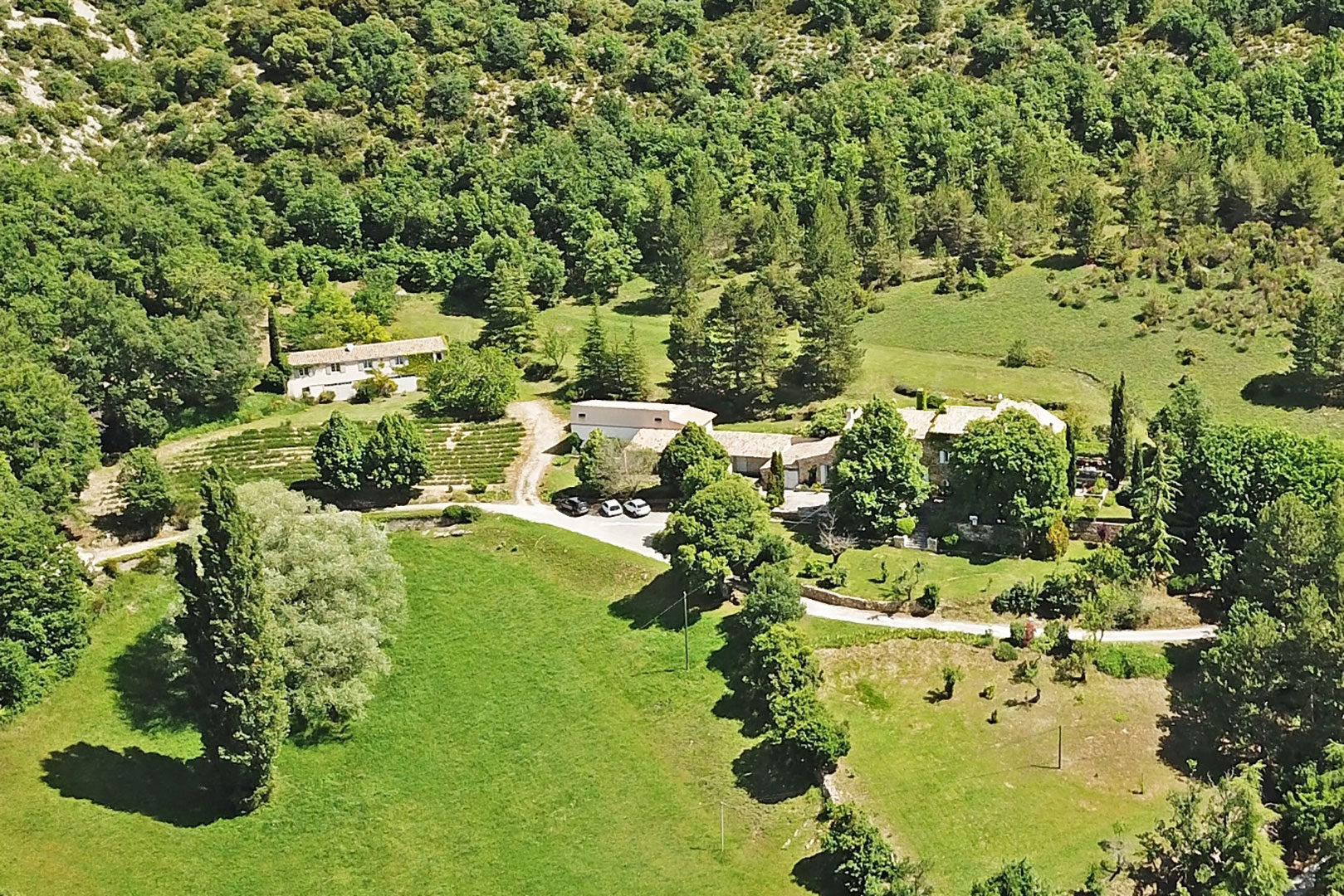 Provence - Elegant mansion with outbuildings on 15 hectares