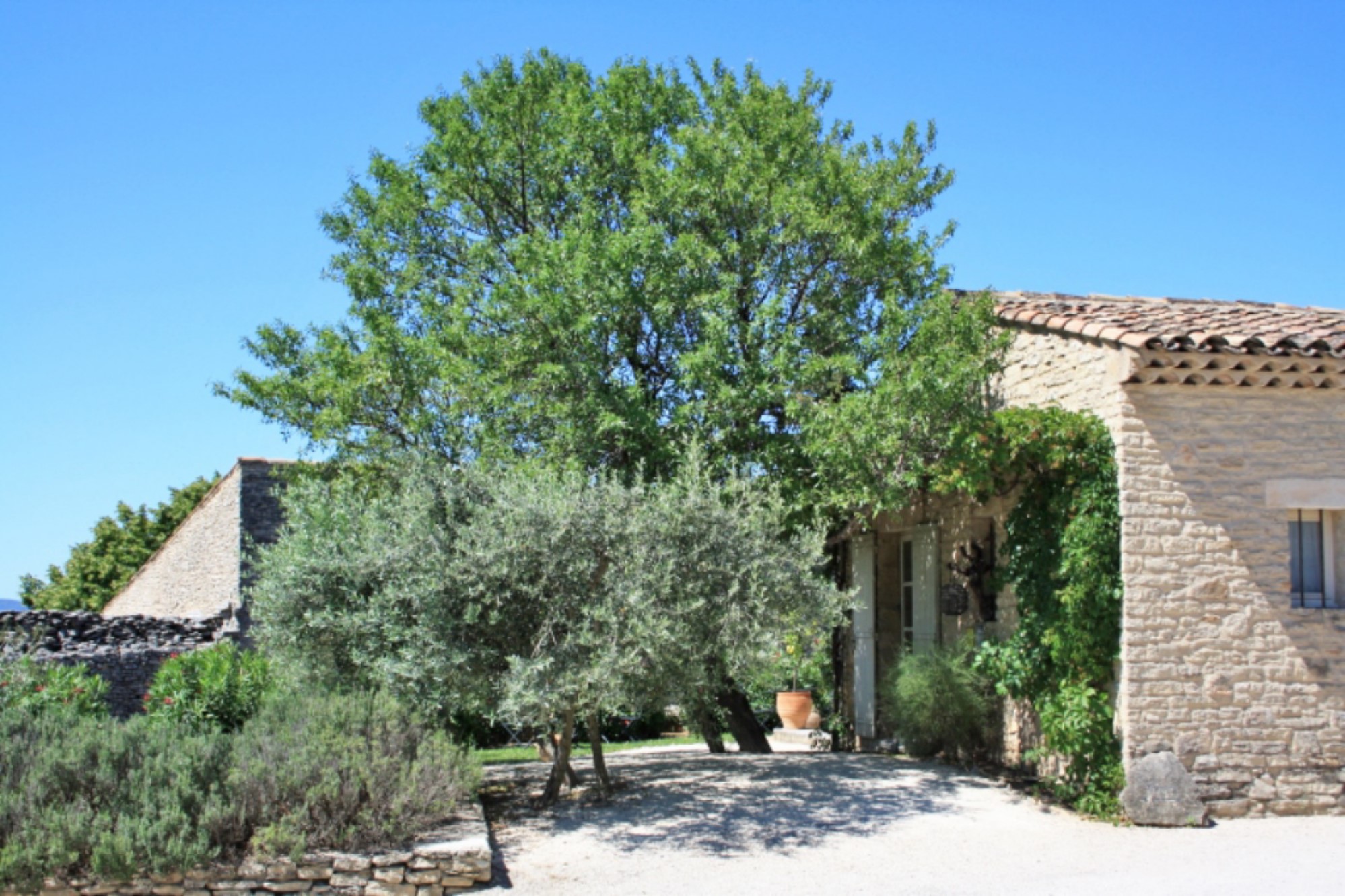 Village property in the center of Gordes with swimming pool and spa