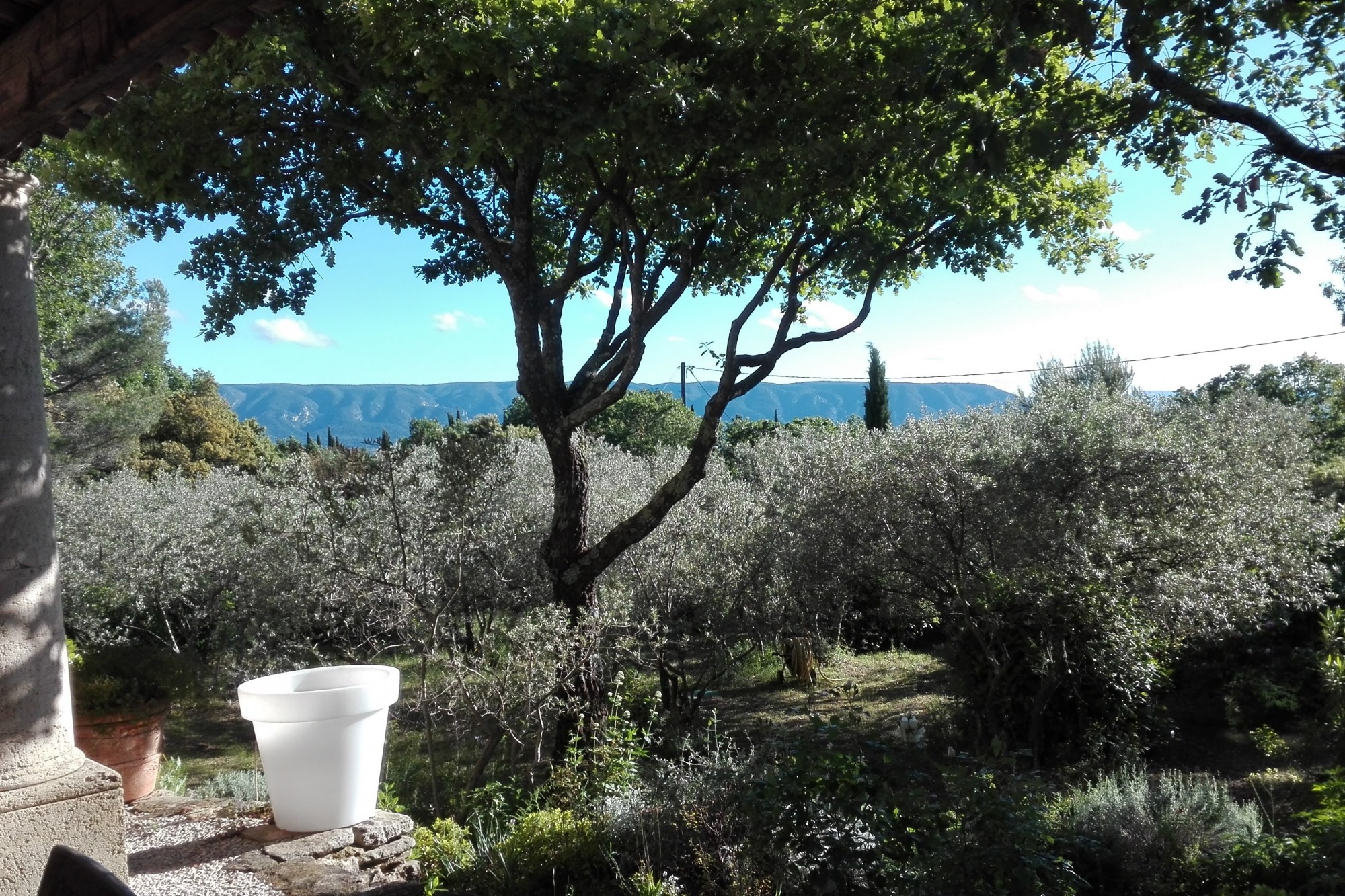 In the Luberon, near a village, beautiful stone house
