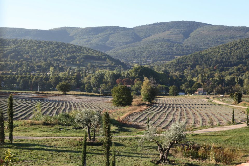 For sale in Provence, in luberon, estate of XVIIth century entirely renovated, composed of several buildings for a total surface of 1100 sqm on a 10 hectares land