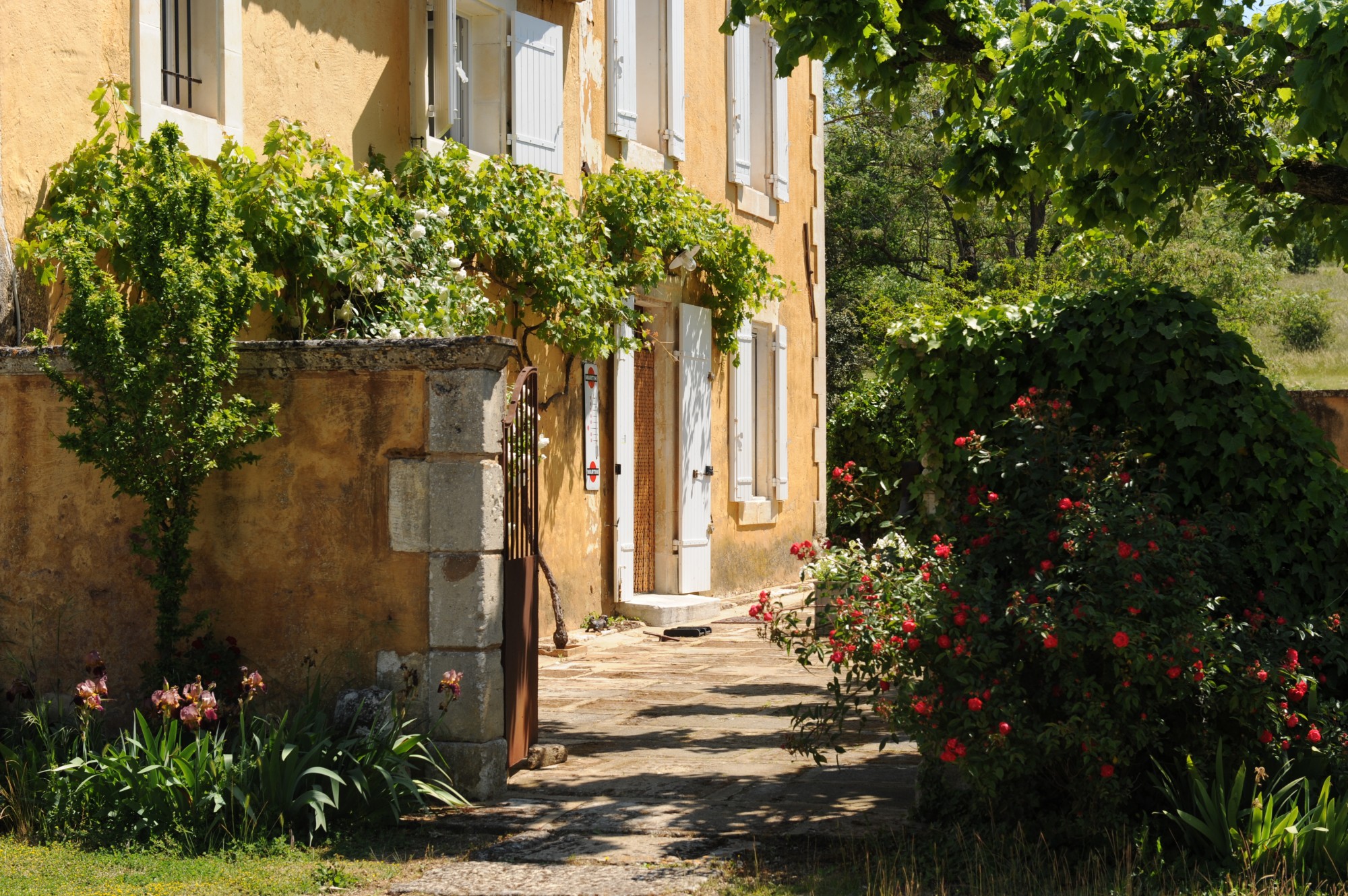 In the Luberon countryside, charming residence with courtyard and swimming pool