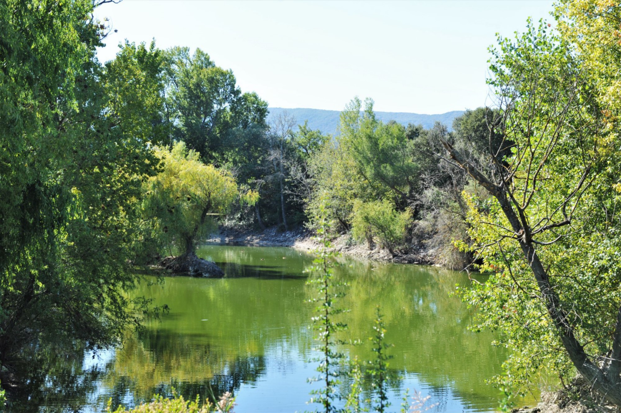 Luberon : Villa with outbuildings and pond on 3.5 acres