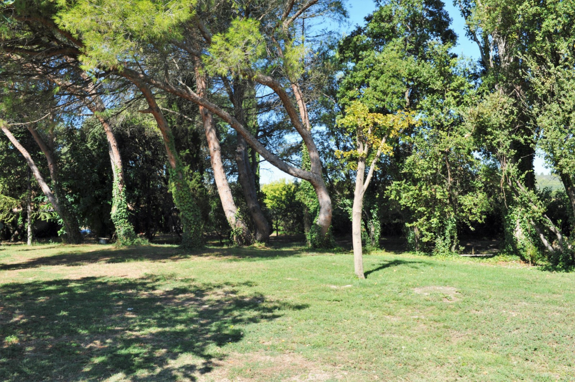 Luberon : Villa with outbuildings and pond on 3.5 acres