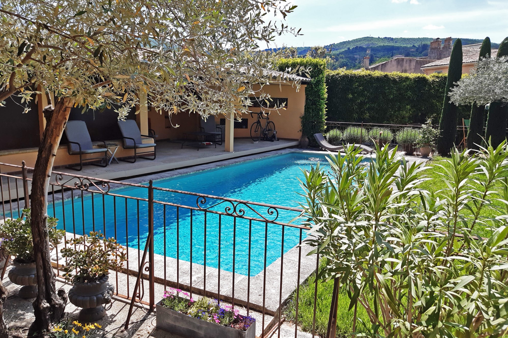 piscine oliviers ciel bleu