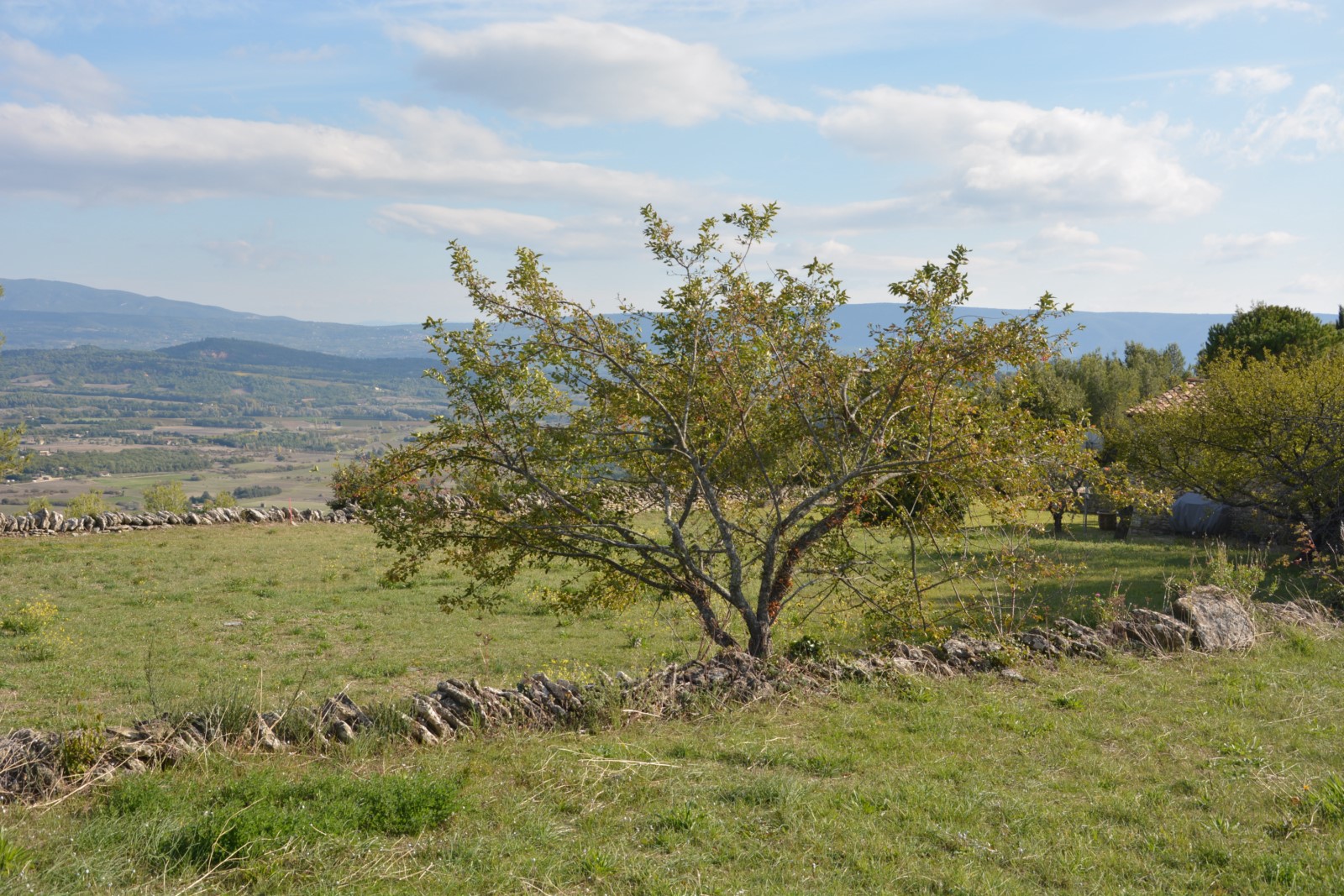 Gordes: superb village plot with panoramic views