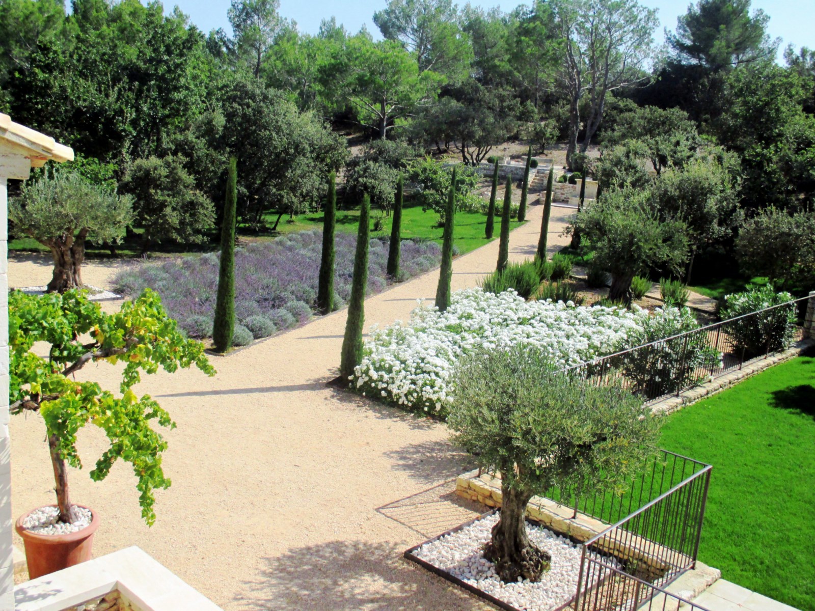 To rent for a summer in Luberon, spendid stone farmhouse in a park of 1 hectare with swimming pool