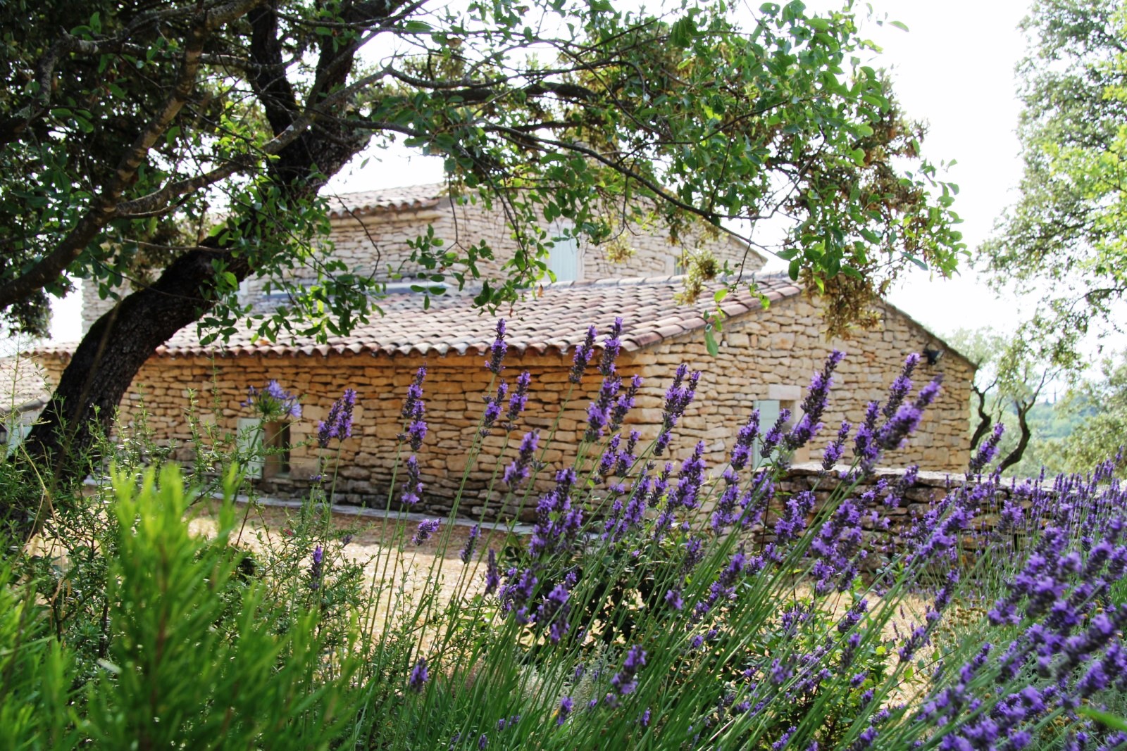 On the heights of the selected village of Gordes, for seasonnal rental