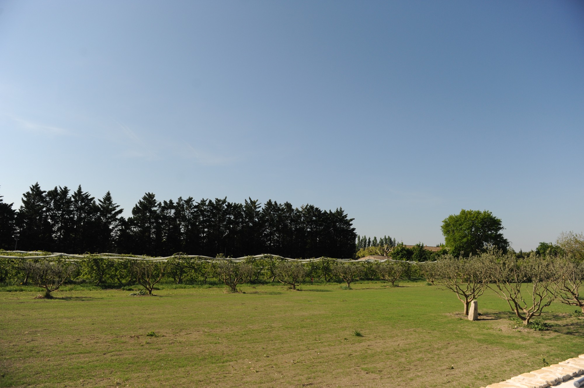 Close to Isle sur la sorgue and the golf of Saumane, renovated farmhouse