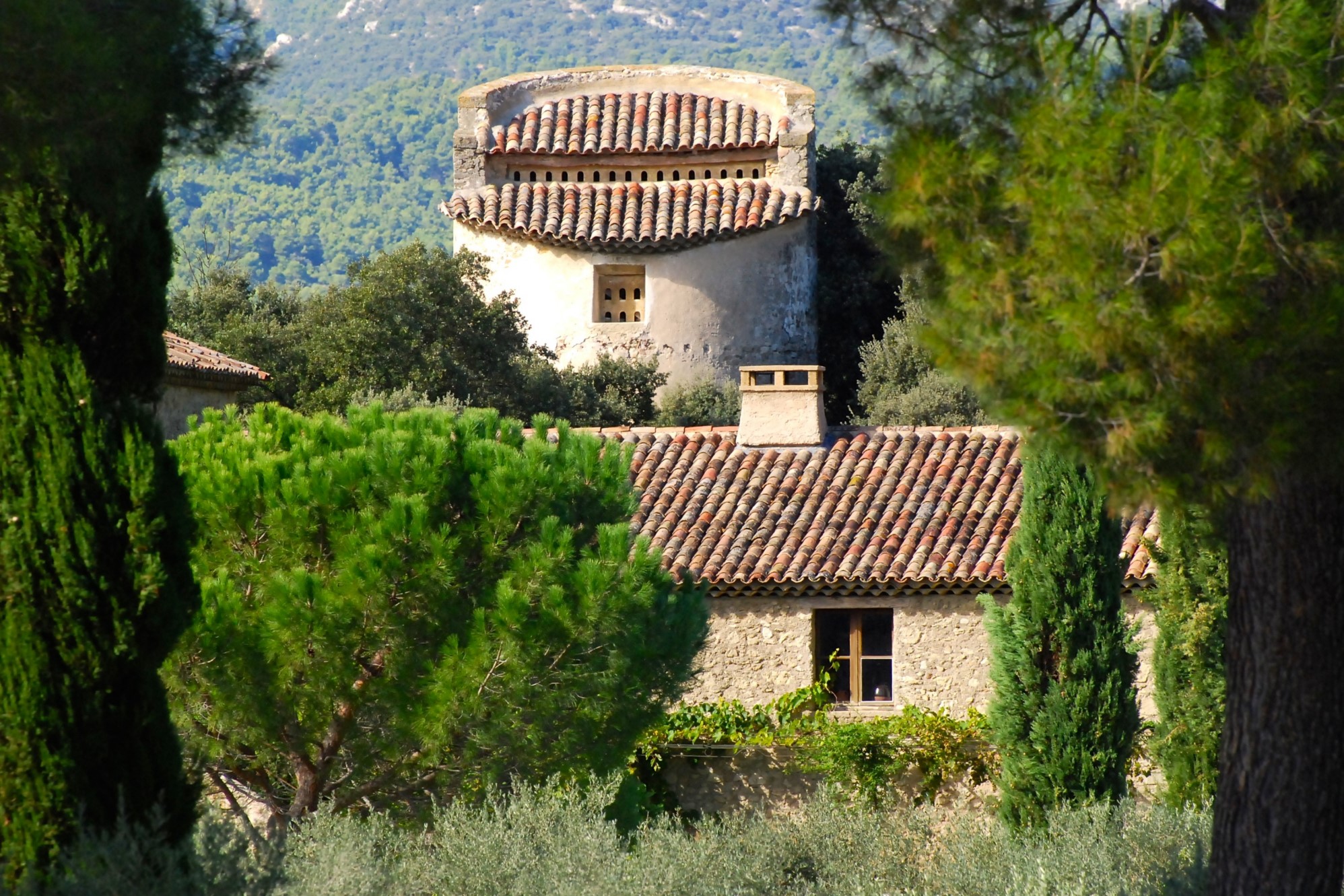Specialiste de Location saisonnière Luberon ROSIER