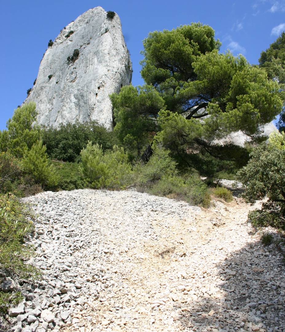 Pierrier dans le massif des Alpilles