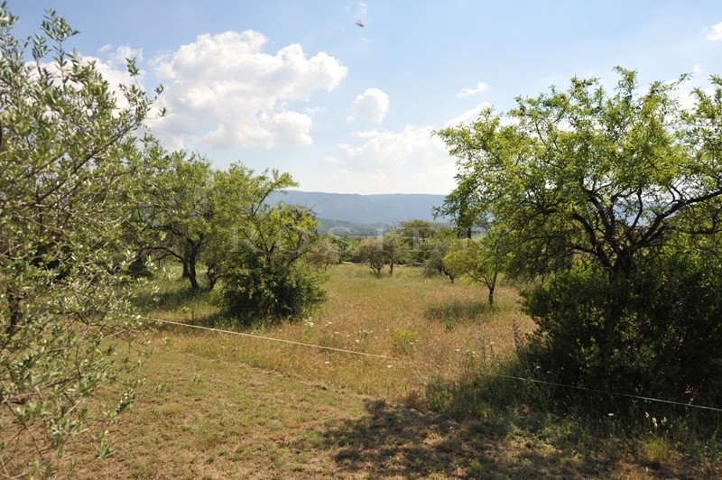 
Our area of ​​activity for this service Modern architect house with garden for sale